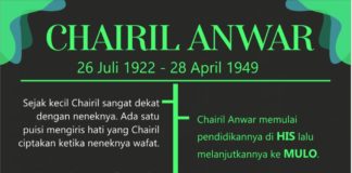 Chairil Anwar, Si Binatang Jalang