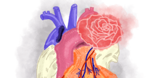 Aku Ingin Selalu Didekatmu, Laika