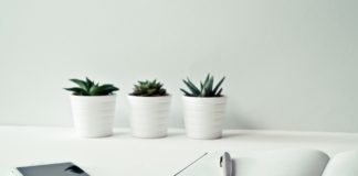 6 Tip Agar Produktif di Rumah Aja