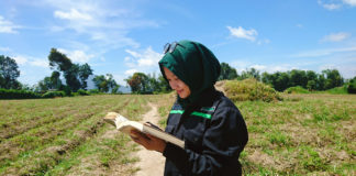 Kebijakan yang Tidak Bijak