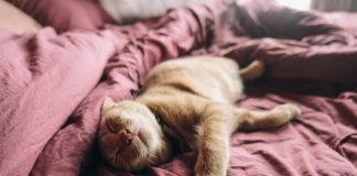 Mager