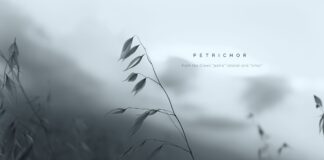 Petrichor, Si Pemalu yang Hanya Muncul Saat Hujan Turun