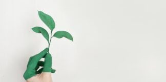Sustainable Living di Era Normal Baru