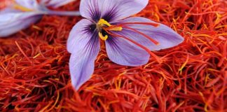 Safron, Rempah Termahal dengan Berbagai Manfaat