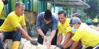 Sambut Iduladha 1442 H, UIN SU Sembelih 34 Ekor Sapi