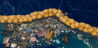 Great Pacific Garbage Patch, Partikel Sampah di Samudra Pasifik