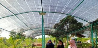 Nursery: Solusi Konflik Petani dan Gajah