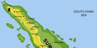Sumatra Timur, Pembentukan Provinsi Baru di Pulau Sumatra