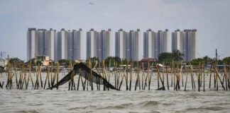 Ubur-Ubur Ikan Lele, Pagar Lautnya Ilegal, Le!
