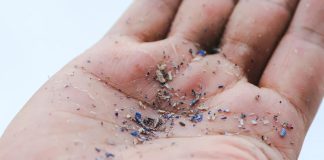 Mikroplastik, Zat Berbahaya yang Hidup Berdampingan dengan Manusia