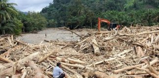 Kayu Gelondongan Terbawa Banjir, Bukti Kuat Penebangan Liar di Sumatra