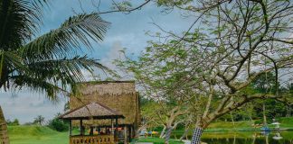 Giant Hill, Hamparan Hijau di Binjai untuk Relaksasi dari Rutinitas